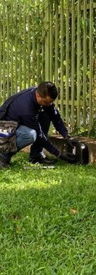 Advance Exterminating