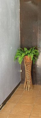 Advance Exterminating