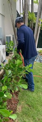 Advance Exterminating