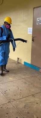 Advance Exterminating