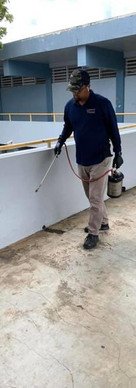 Advance Exterminating